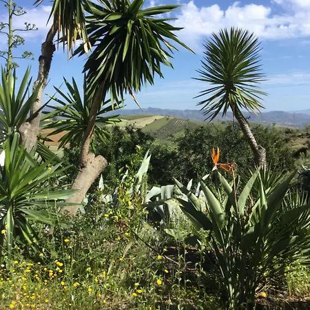 Holiday home Cortijo Palmeras El Chorro Alora