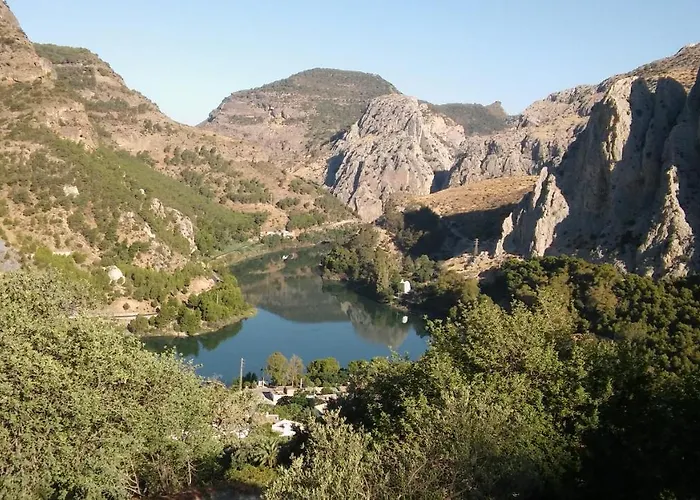 Cortijo Palmeras El Chorro Alora